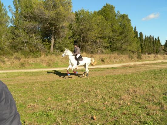 ENTRAINEMENT DE CROSS