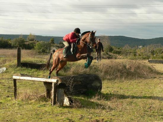 ENTRAINEMENT DE CROSS