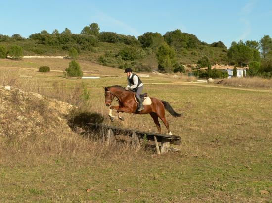 ENTRAINEMENT DE CROSS