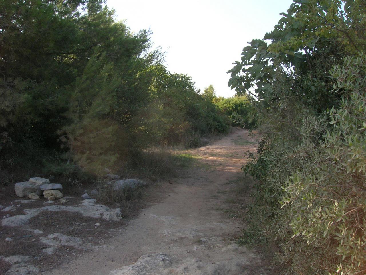 DE NOMBREUSES BALLADE