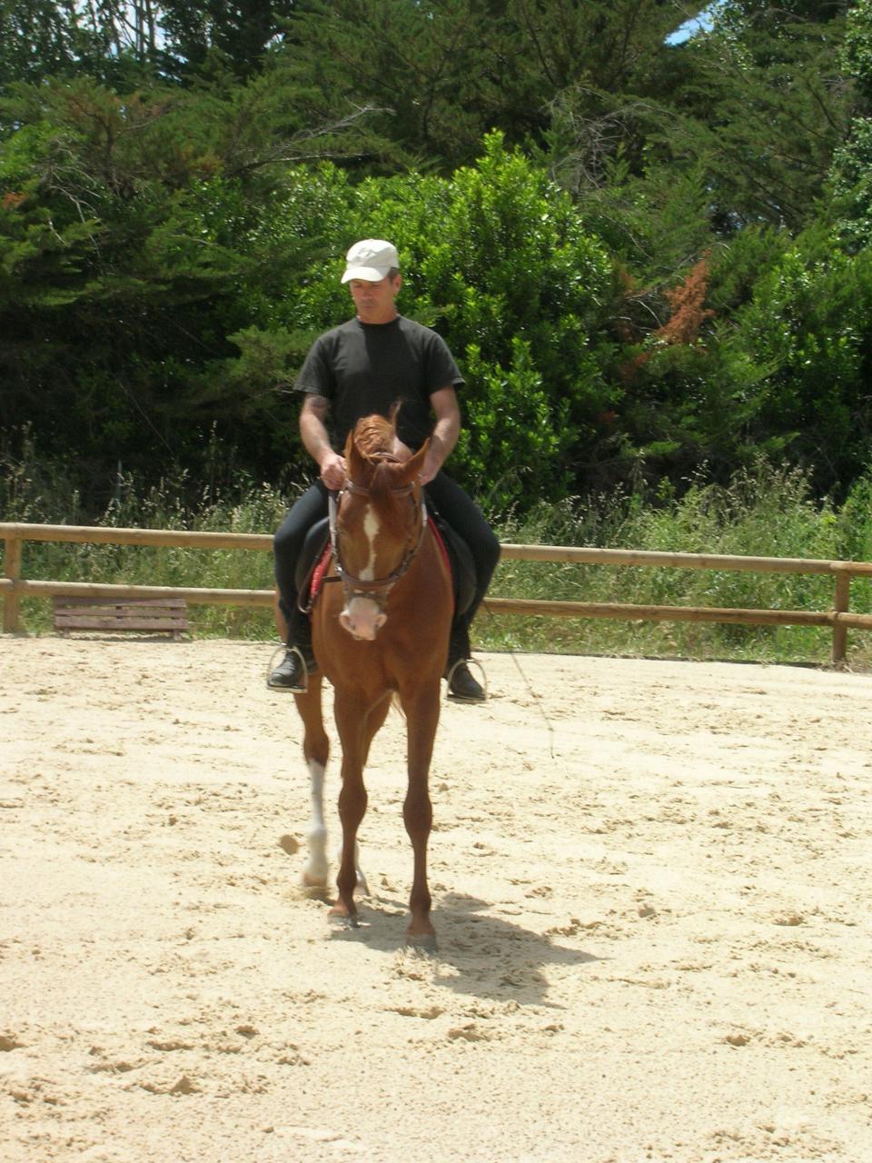 DRESSAGE 5 ET4 EME CATEGORIE