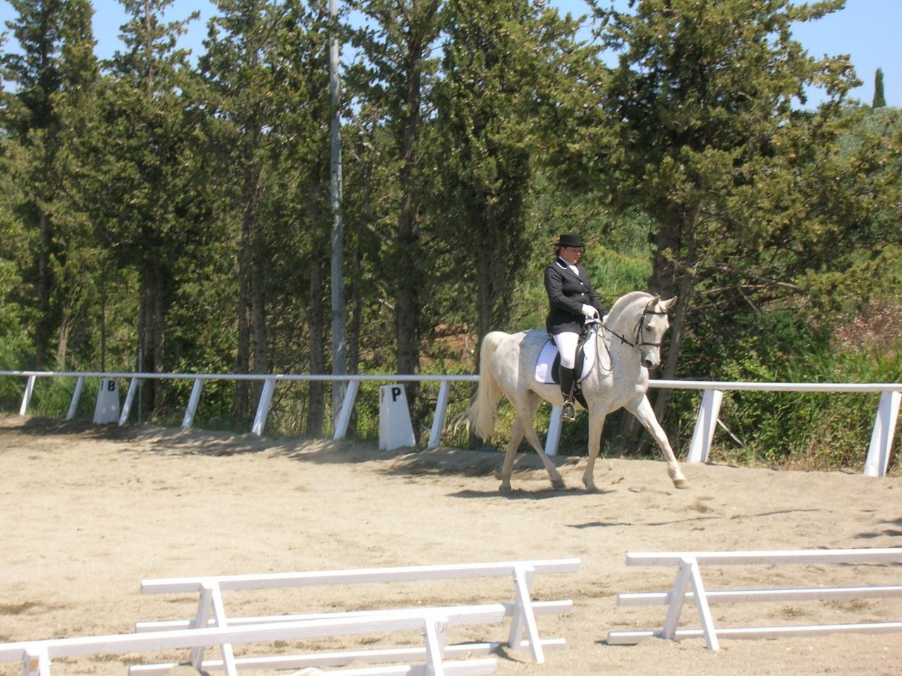 azya en dressage