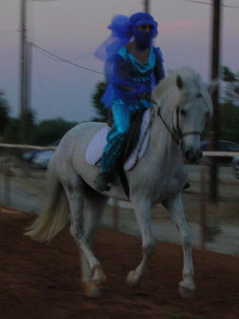ELVORINE DIT ELVO POUR LES INTIMES VENDU COULE UNE RETRAITE