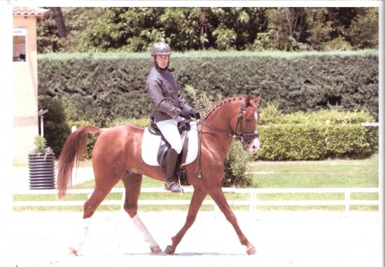uzes 10 juillet dressage